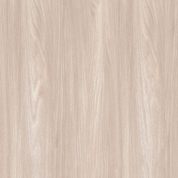 MAPLE - 57064